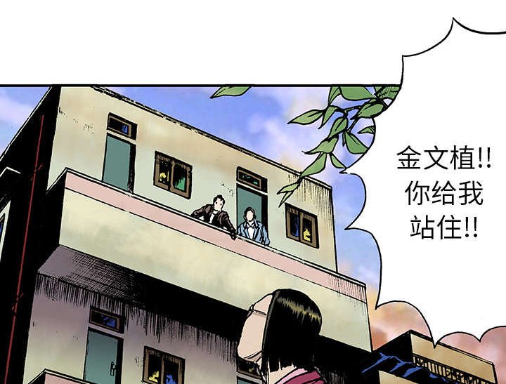 第27章：抓捕金文植