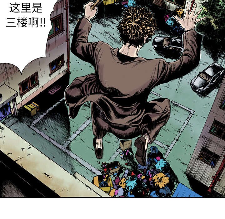 第27章：抓捕金文植