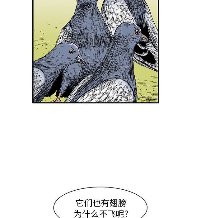 第40章：取代