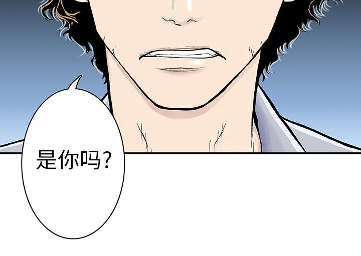 第5章：乌鸦