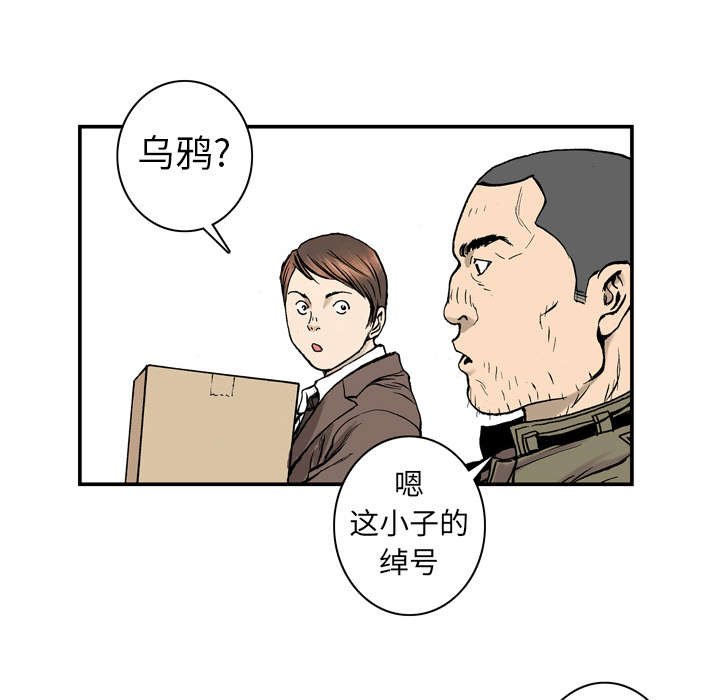 第5章：乌鸦