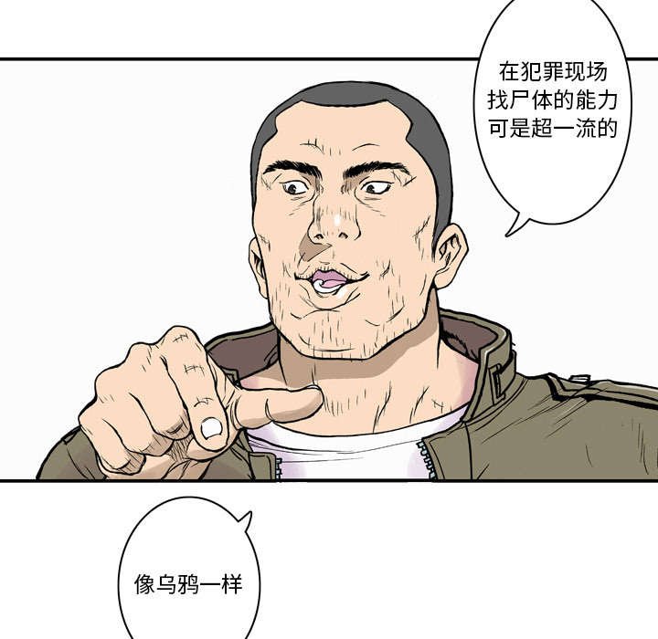 第5章：乌鸦