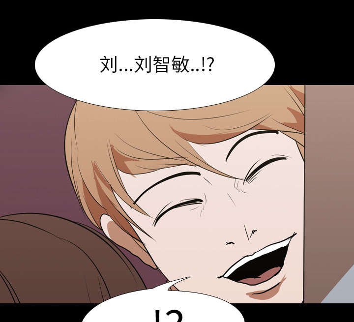 第20章：刘智敏