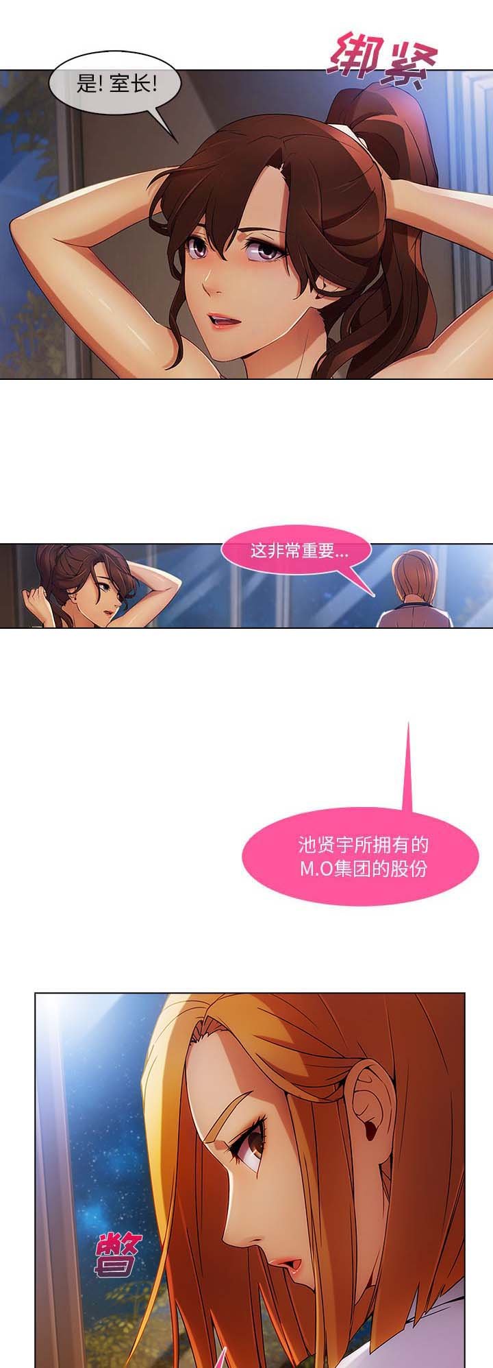 第51章：股份
