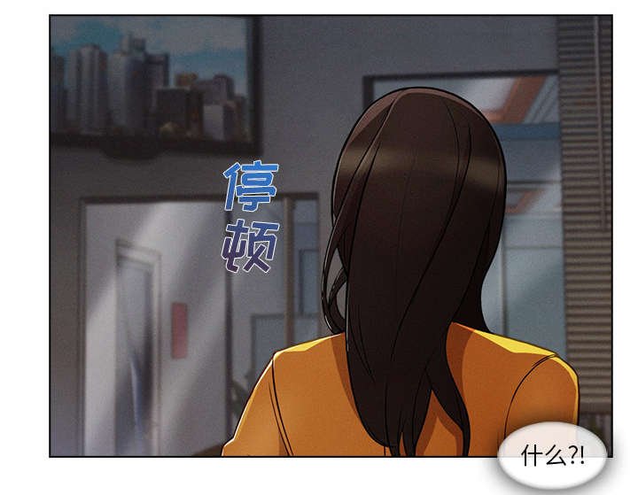 第61章：广告概念