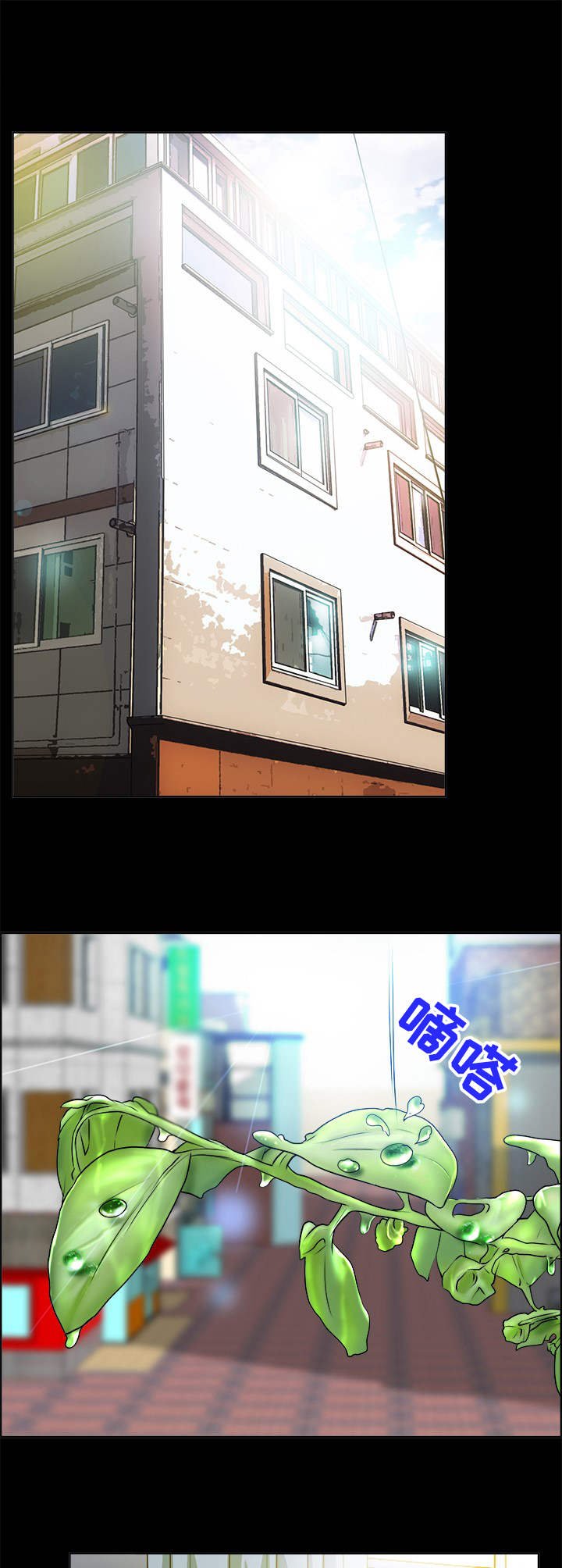 第13章：互换