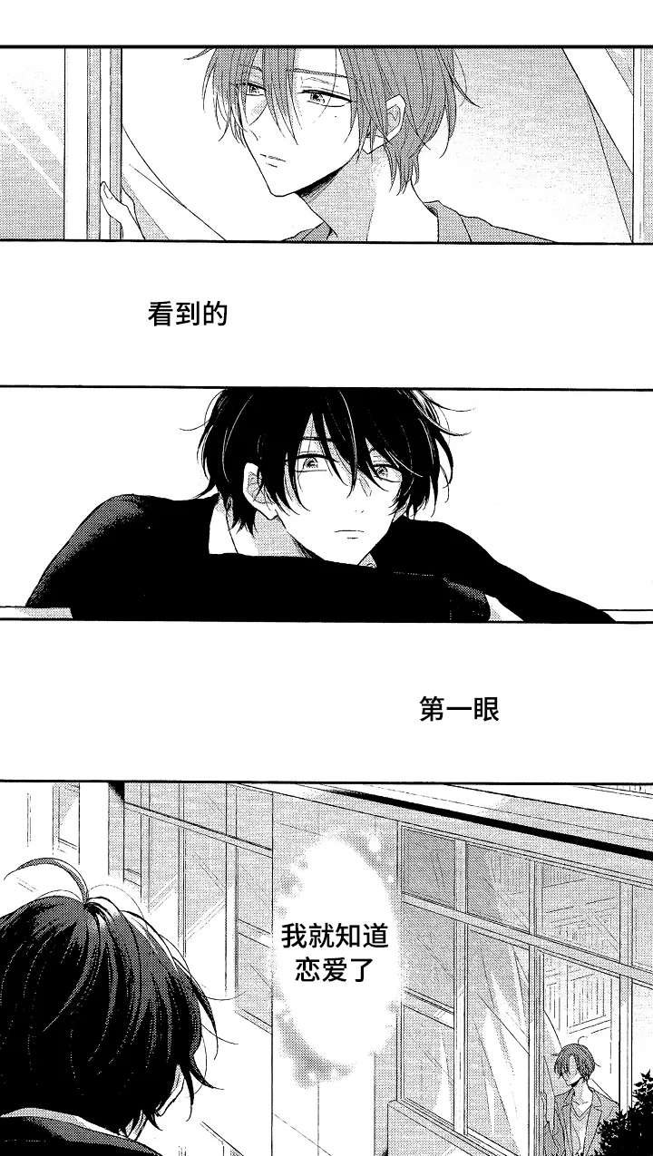第1章：一见钟情