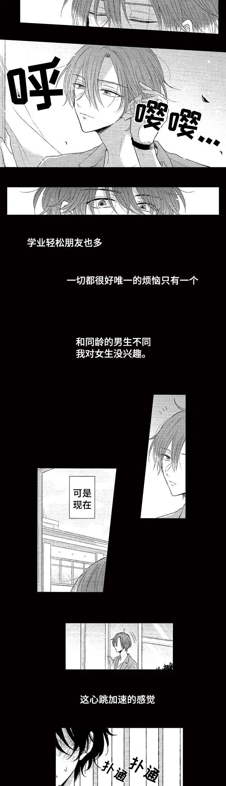 第1章：一见钟情