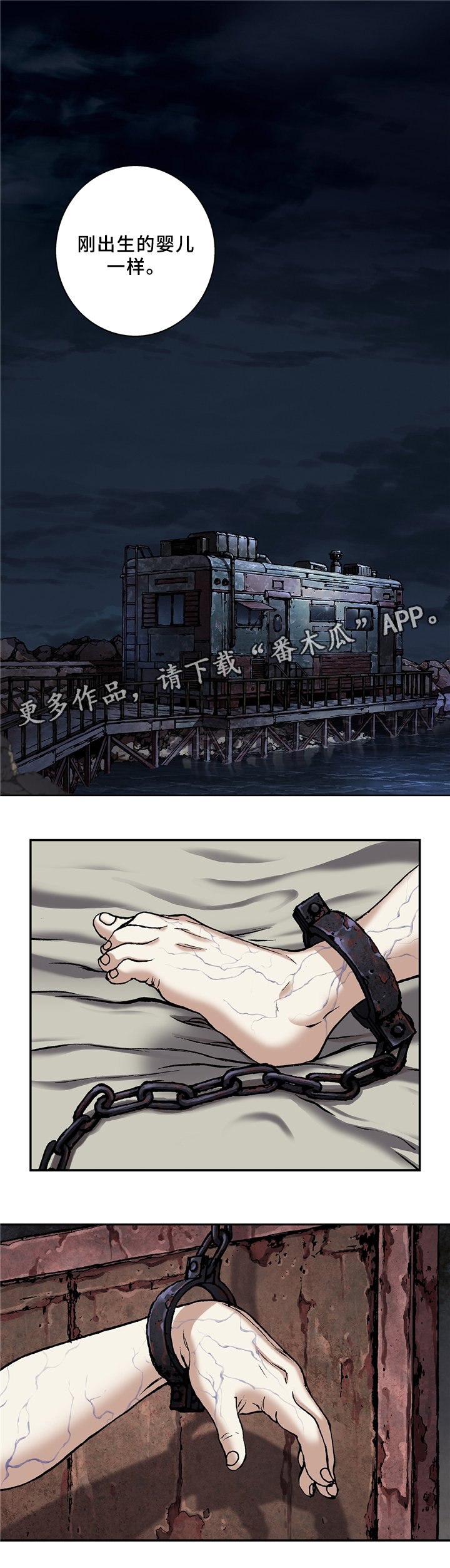第125章：庆功与思考
