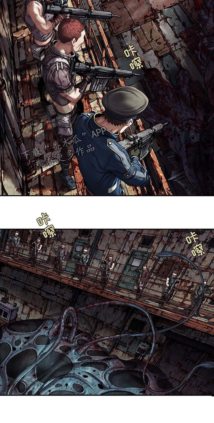 第171章：狩猎开始