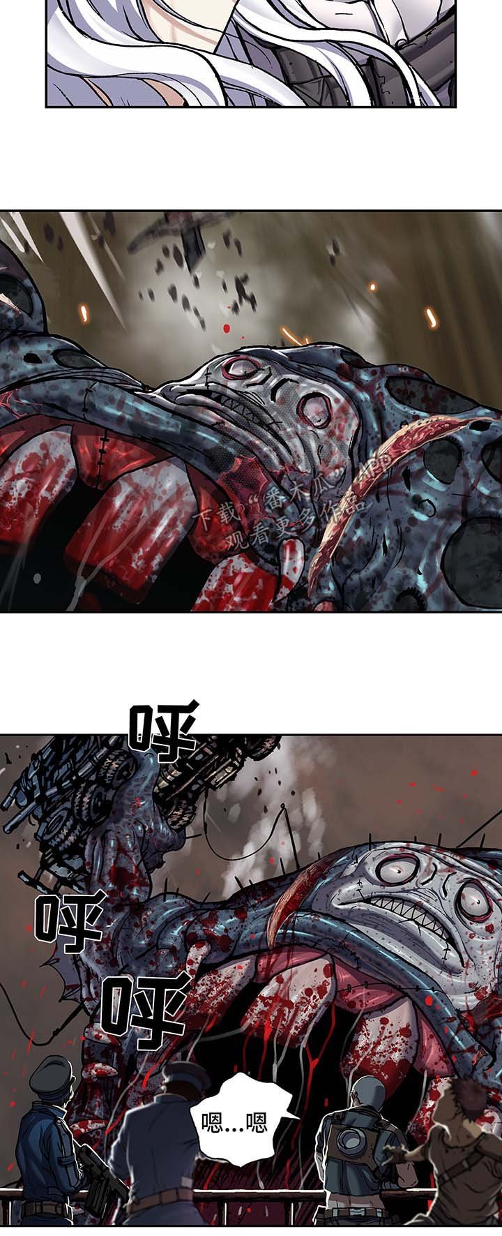 第173章：合作