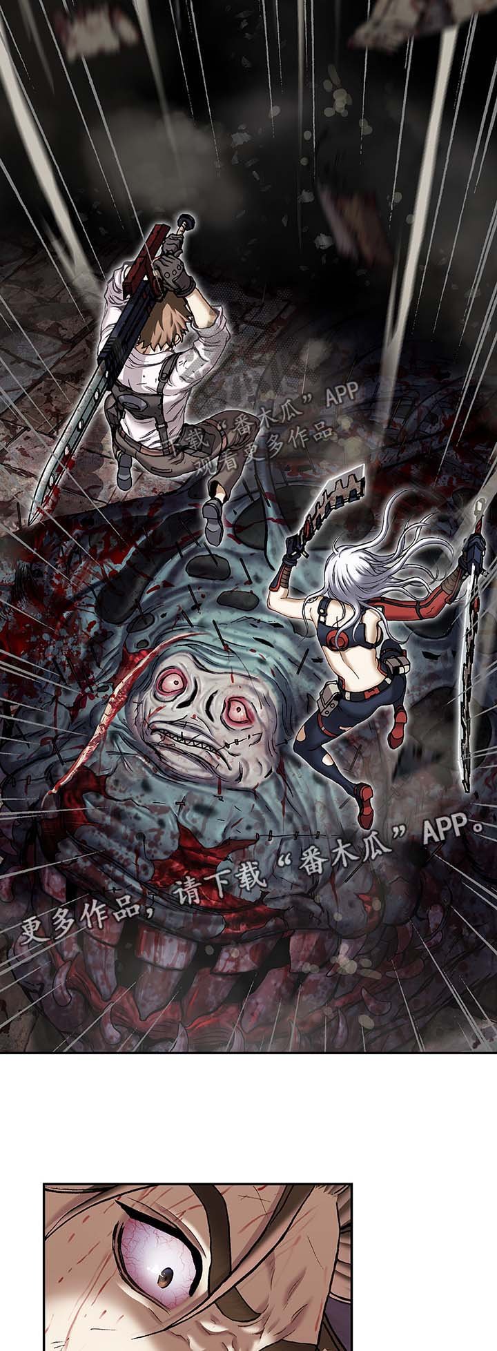 第173章：合作