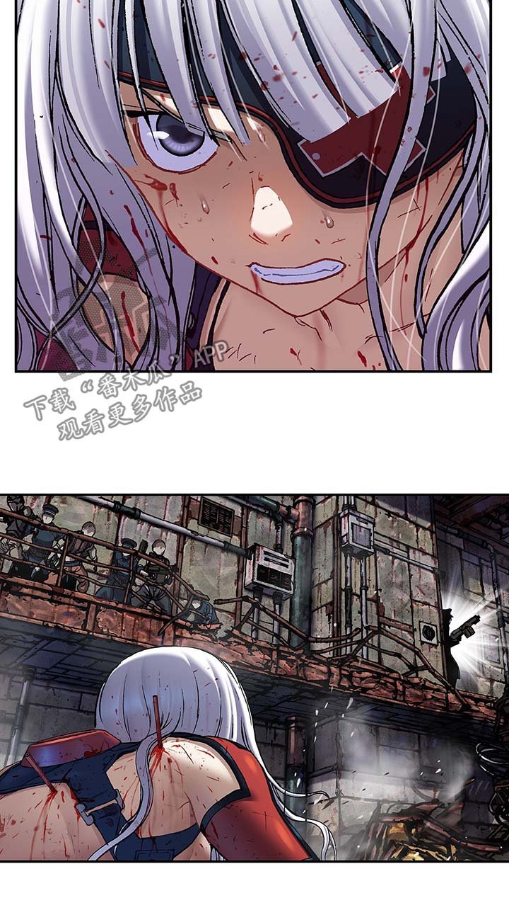 第175章：刺杀