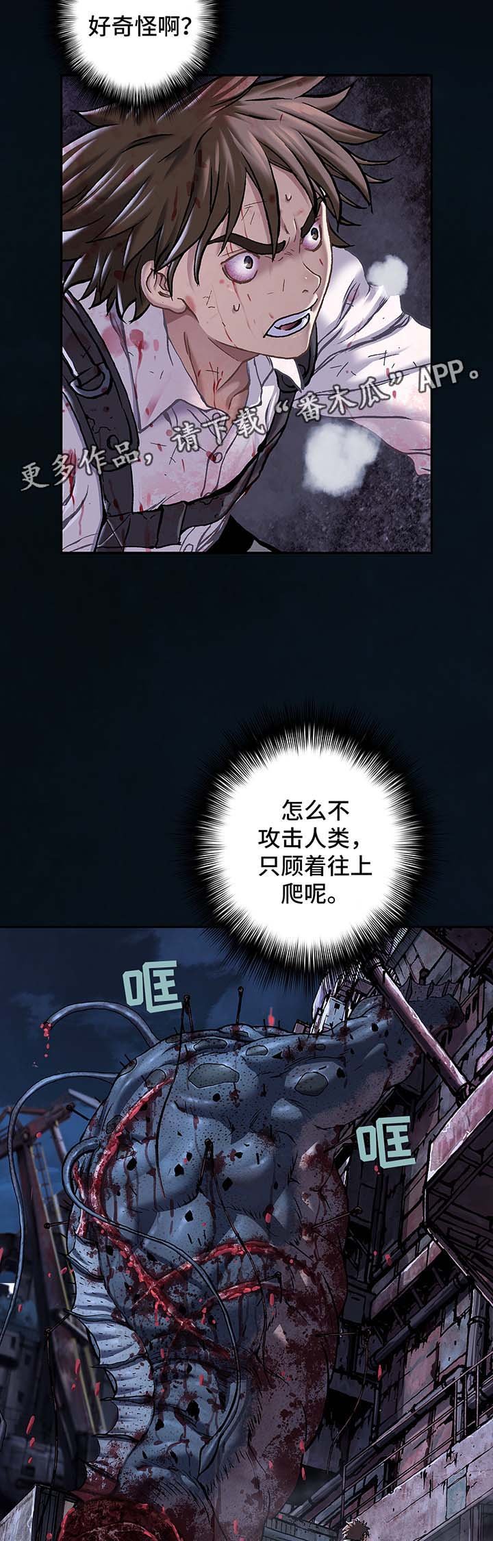 第178章：追逐
