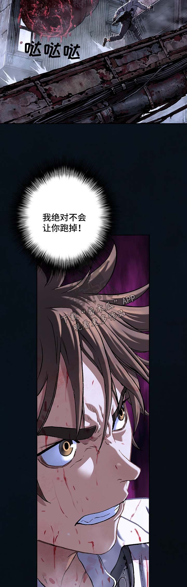 第178章：追逐