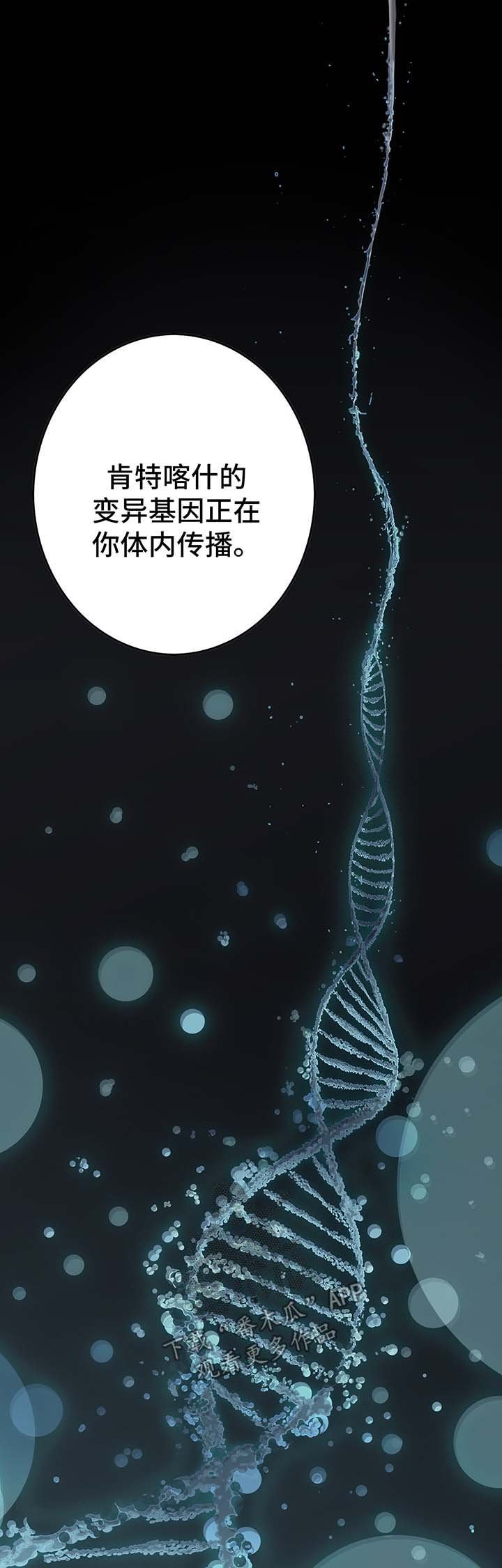 第179章：能力