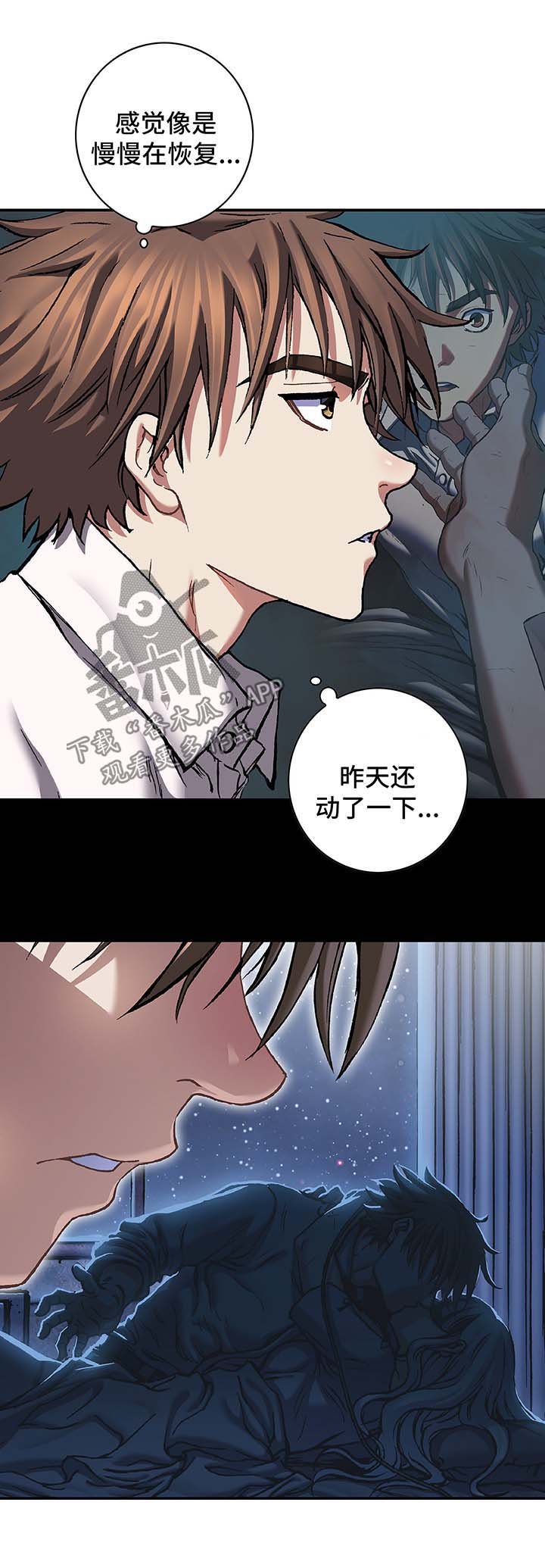 第195章：刺杀