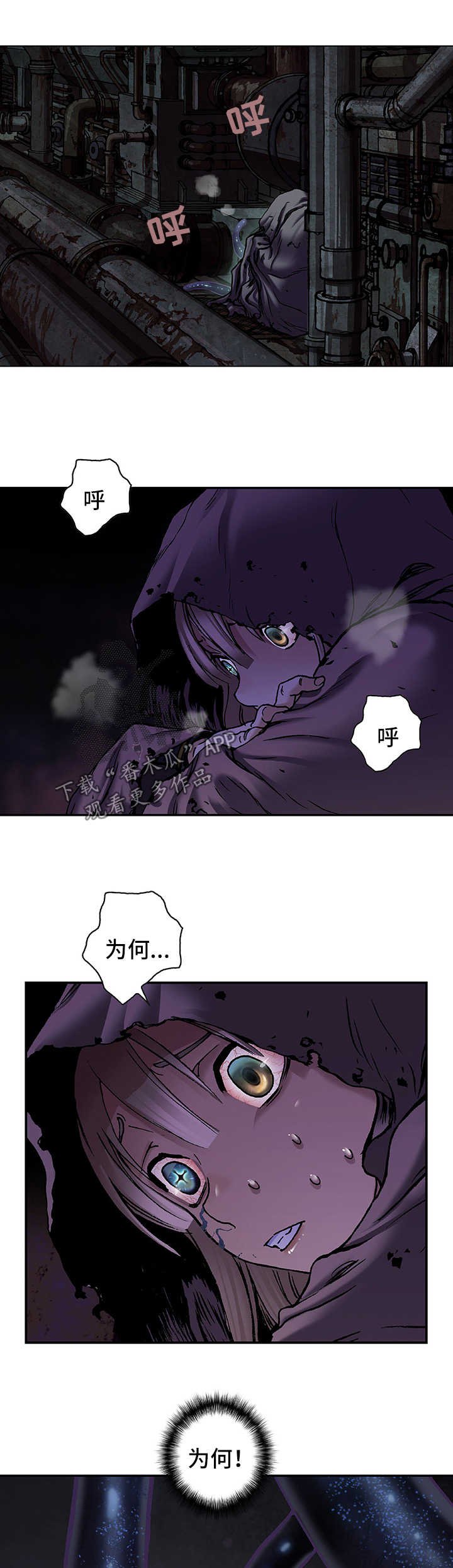 第196章：回不去了