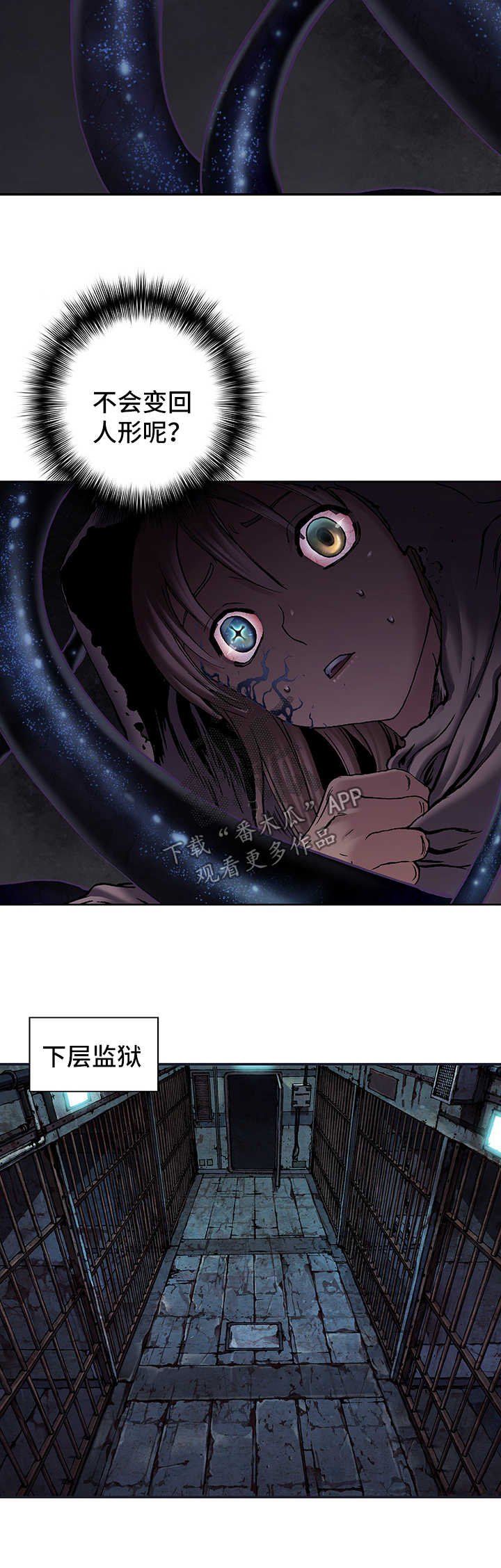 第196章：回不去了