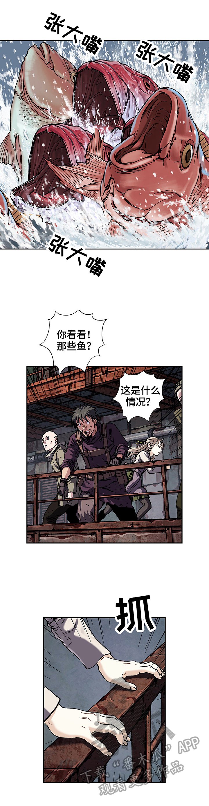 第206章：来了