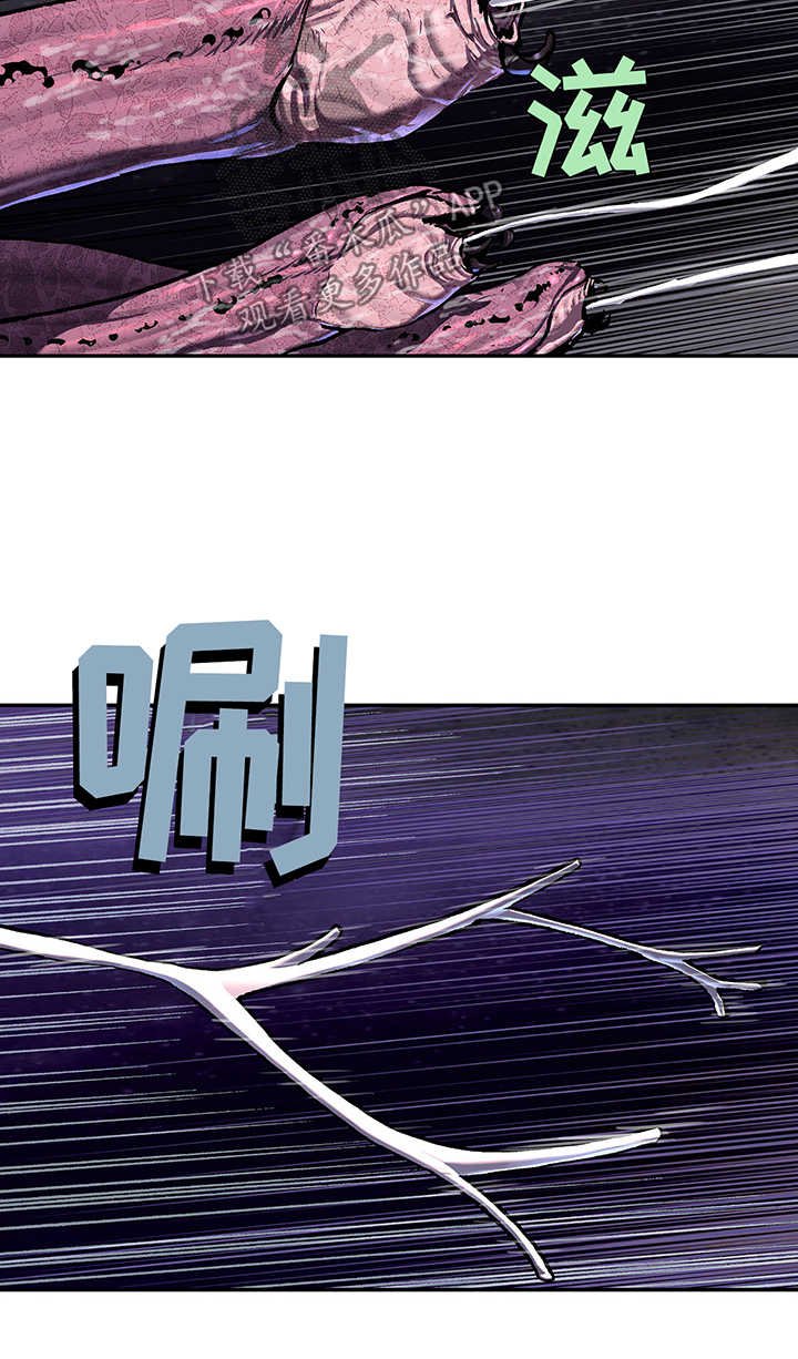 第209章：恐怖袭击