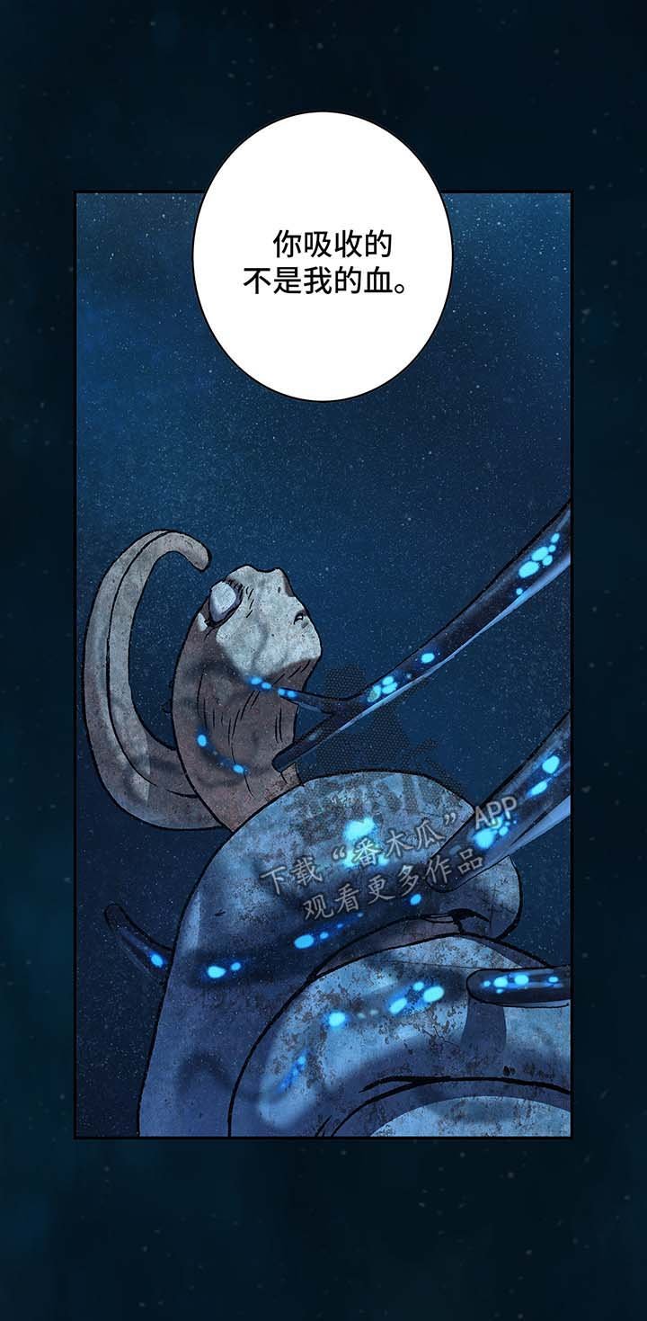 第216章：蟹诺登之毒