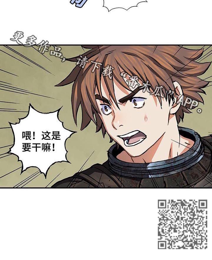 第229章：橄榄枝