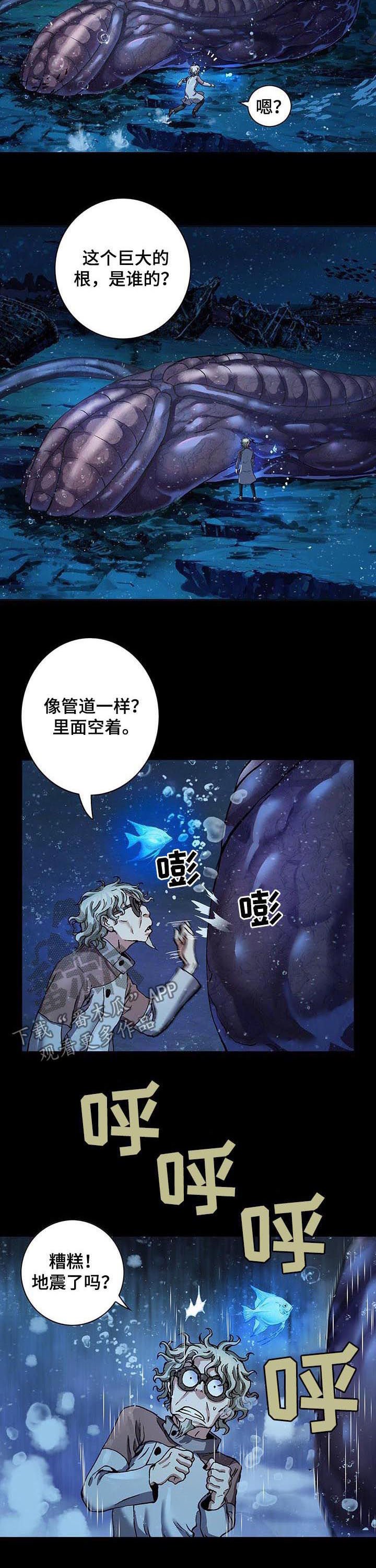 第232章：种子