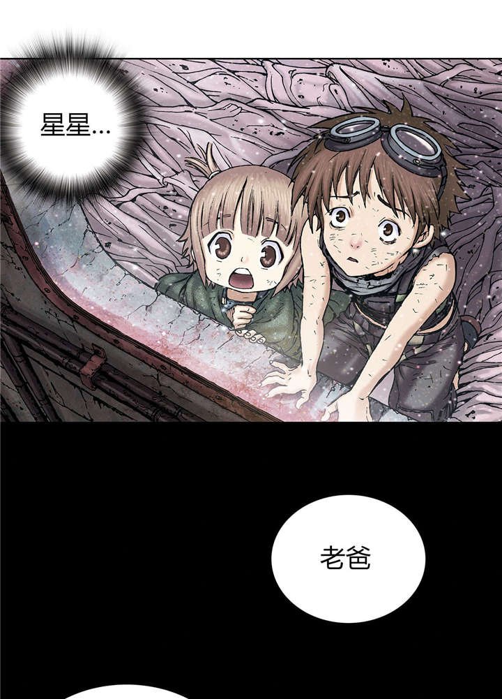 第24章：星星