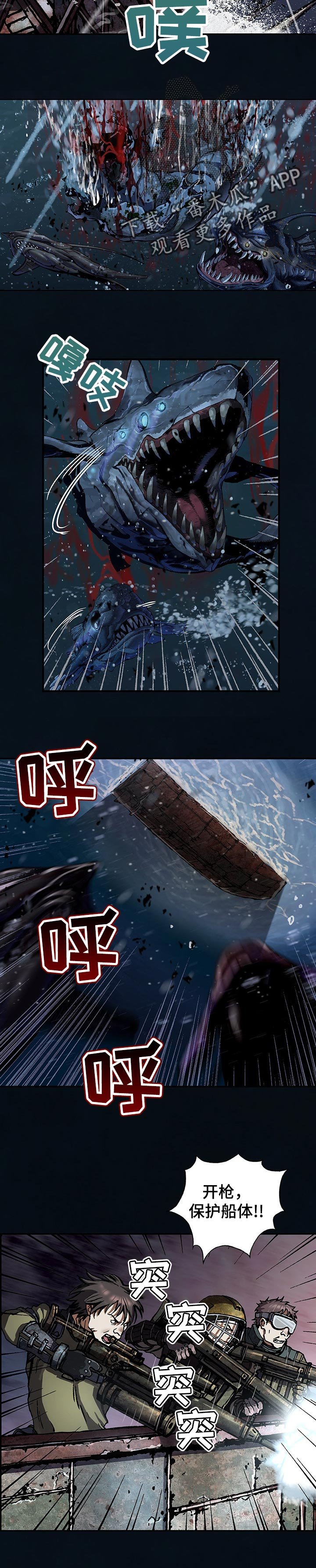 第243章：有意思