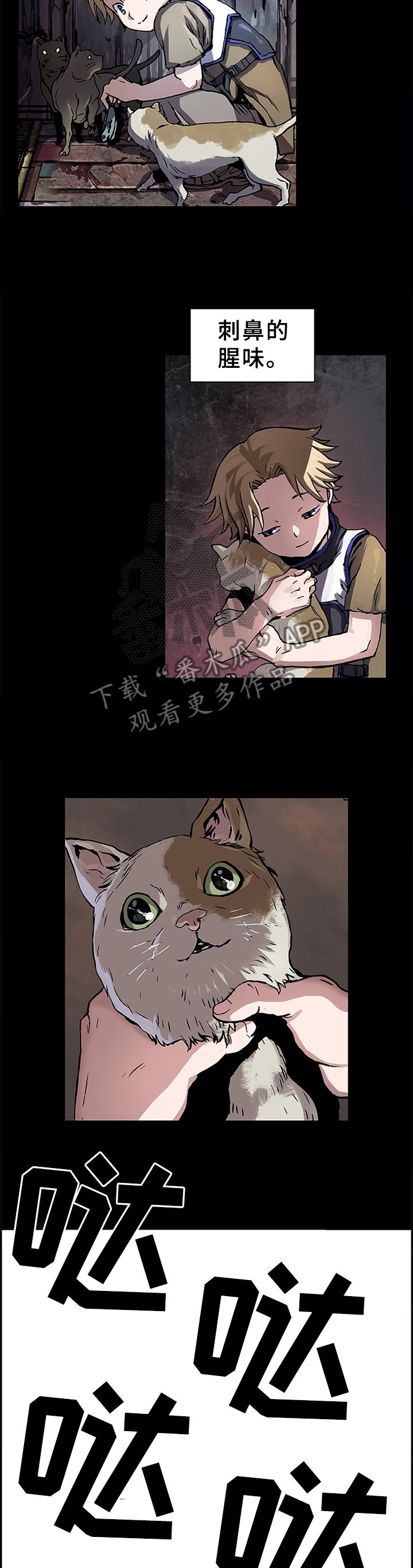 第244章：愈演愈烈