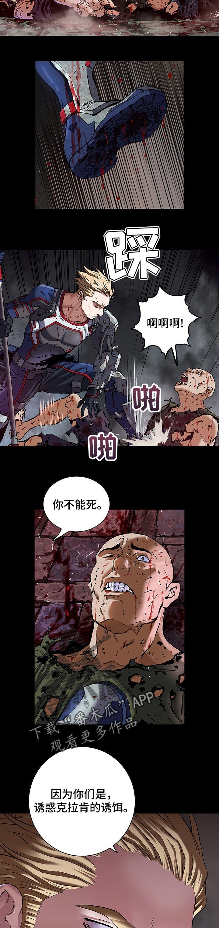 第252章：诱饵