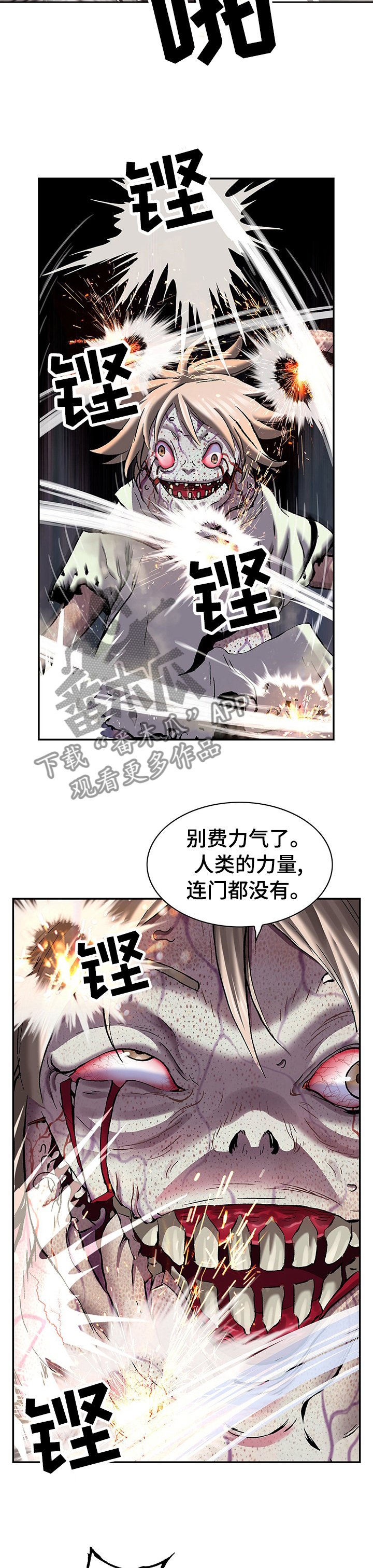 第255章：女王