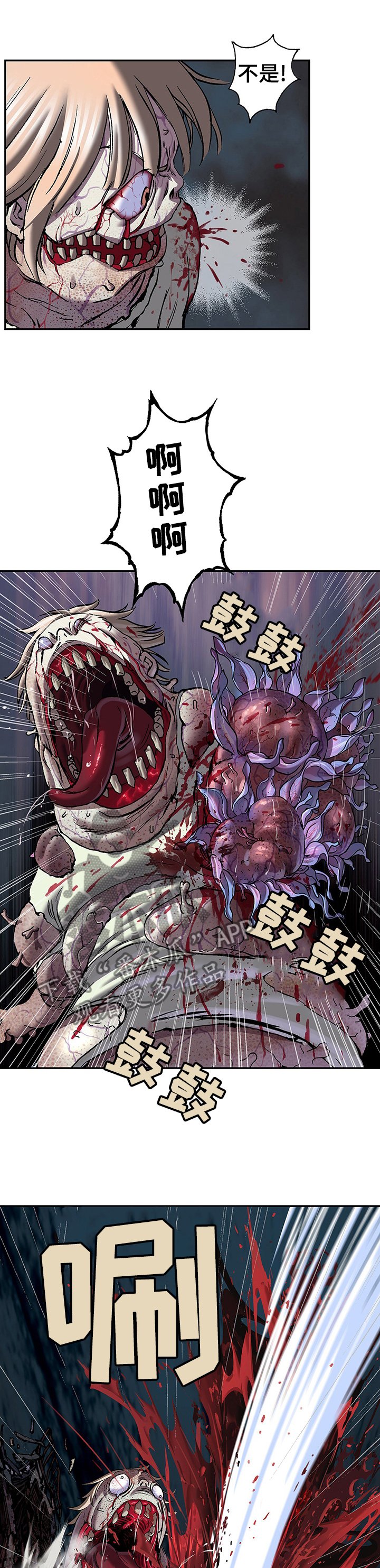 第255章：女王