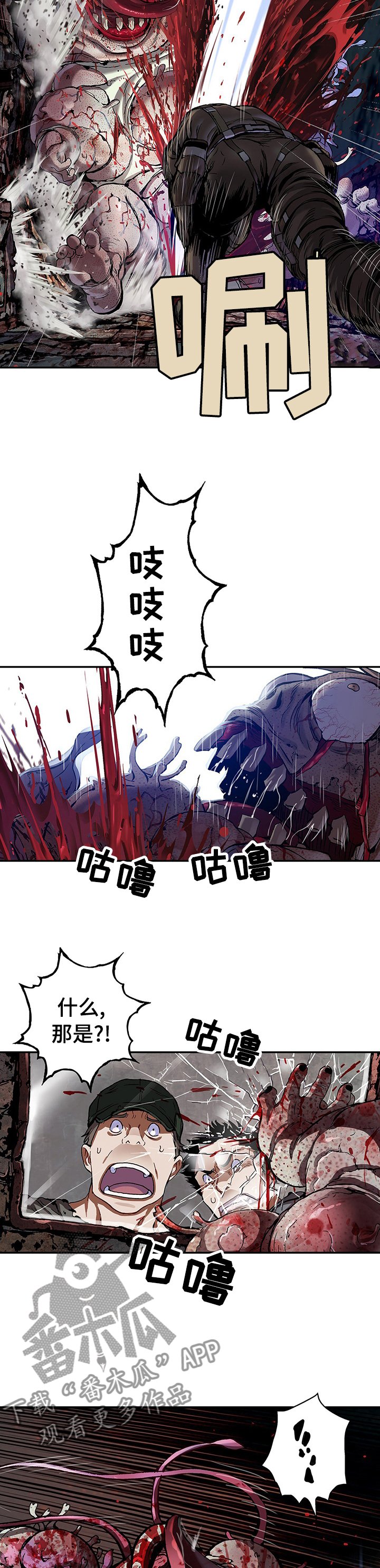 第255章：女王