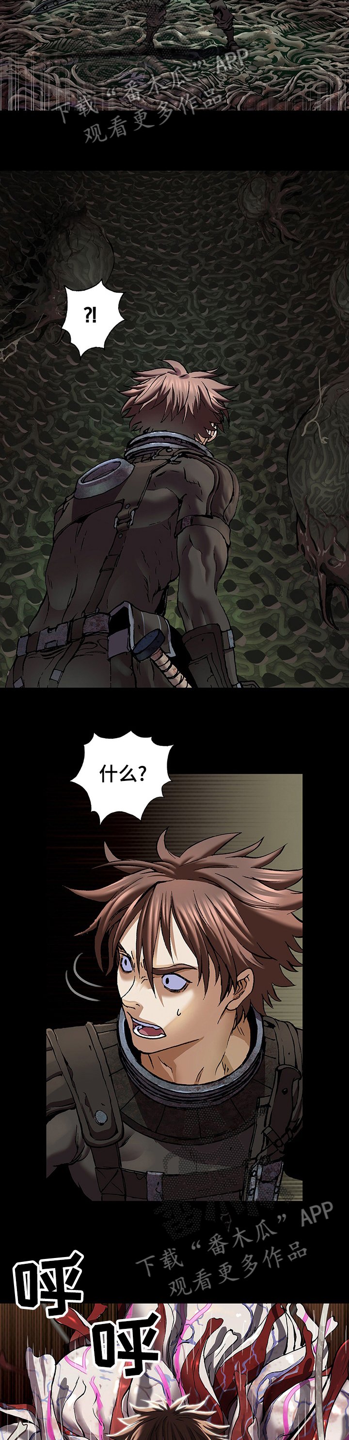 第255章：女王