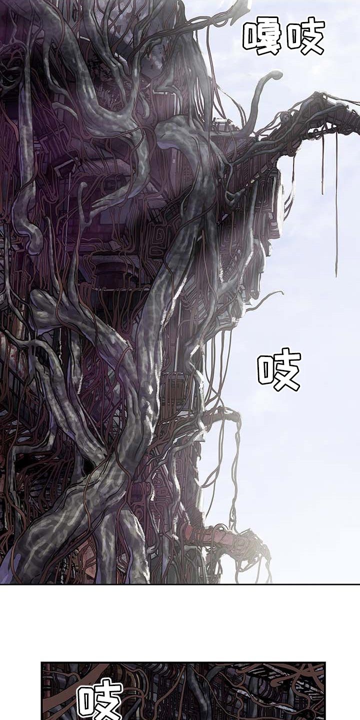 第283章：怜悯已经结束