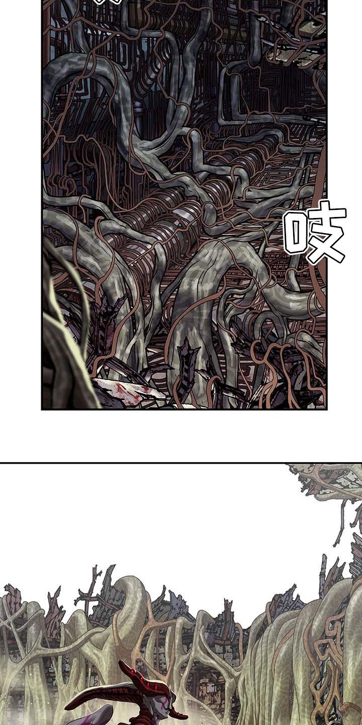 第283章：怜悯已经结束