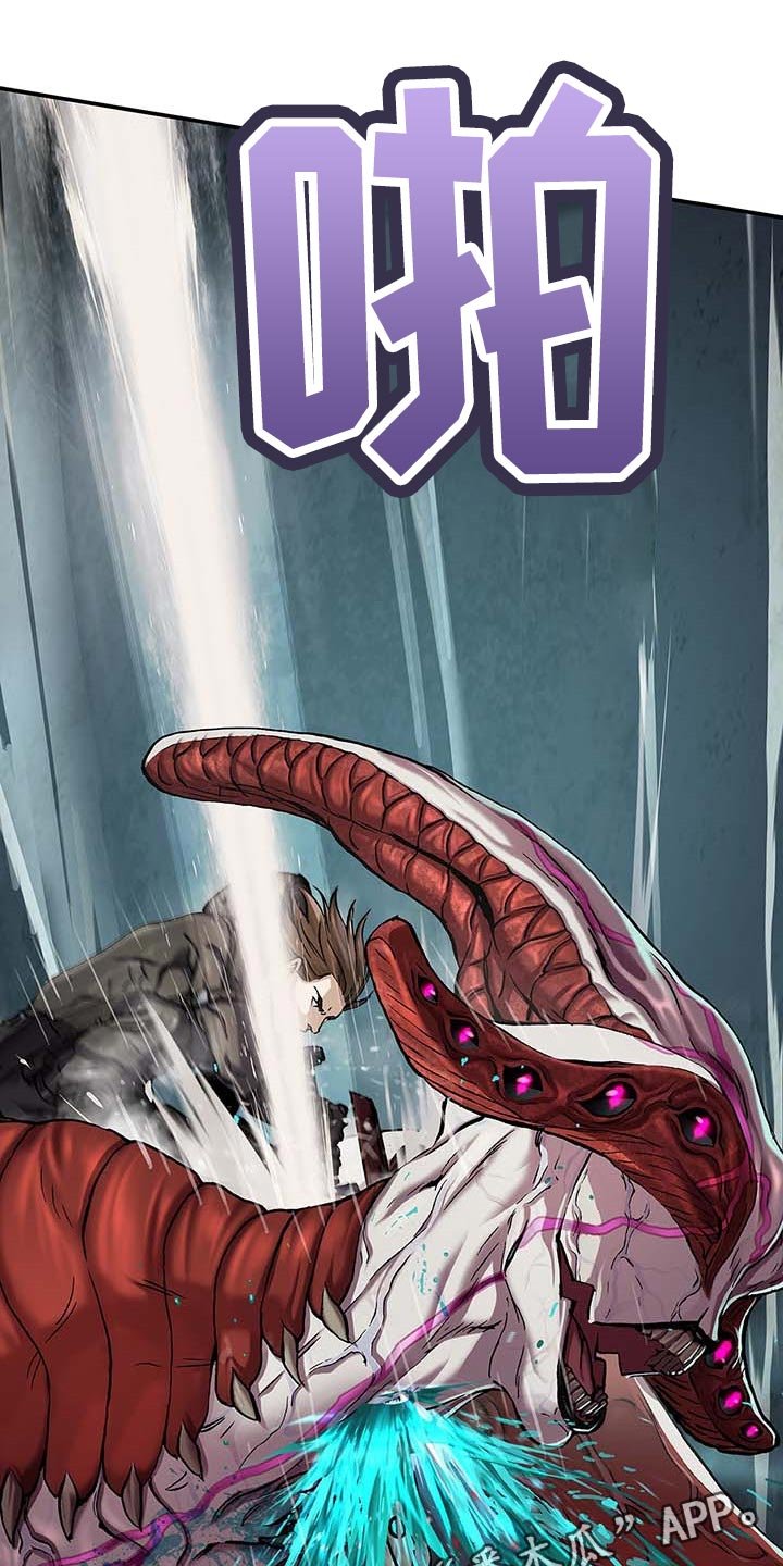 第283章：怜悯已经结束