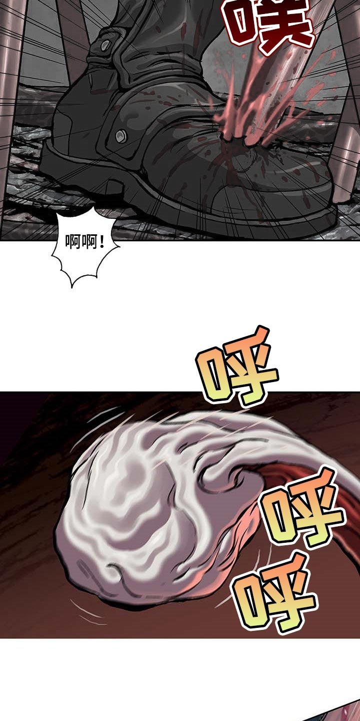 第288章：绝望中消失吧