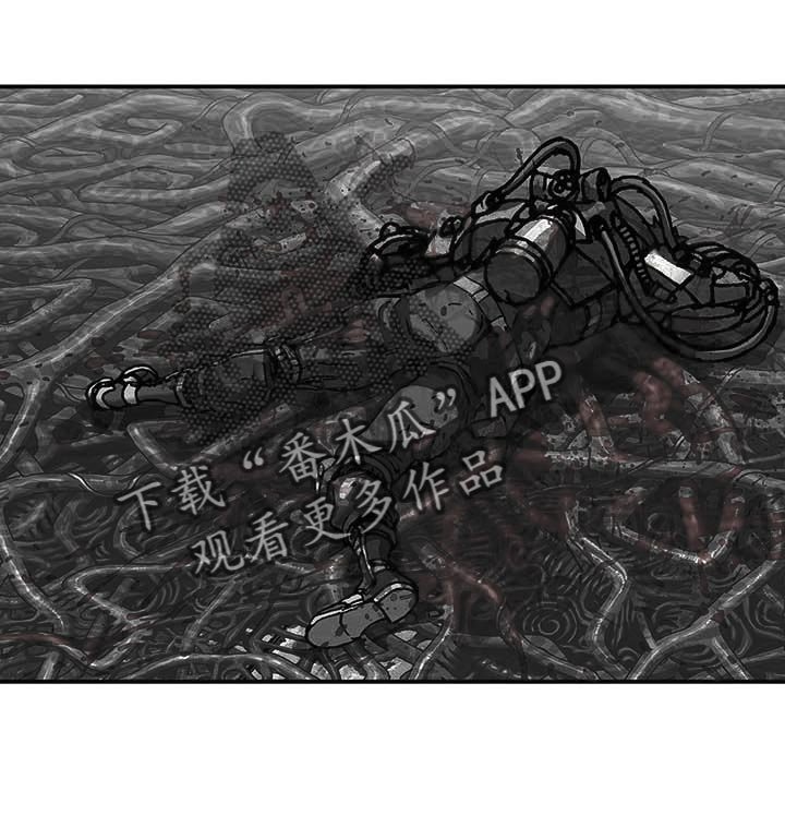 第288章：绝望中消失吧