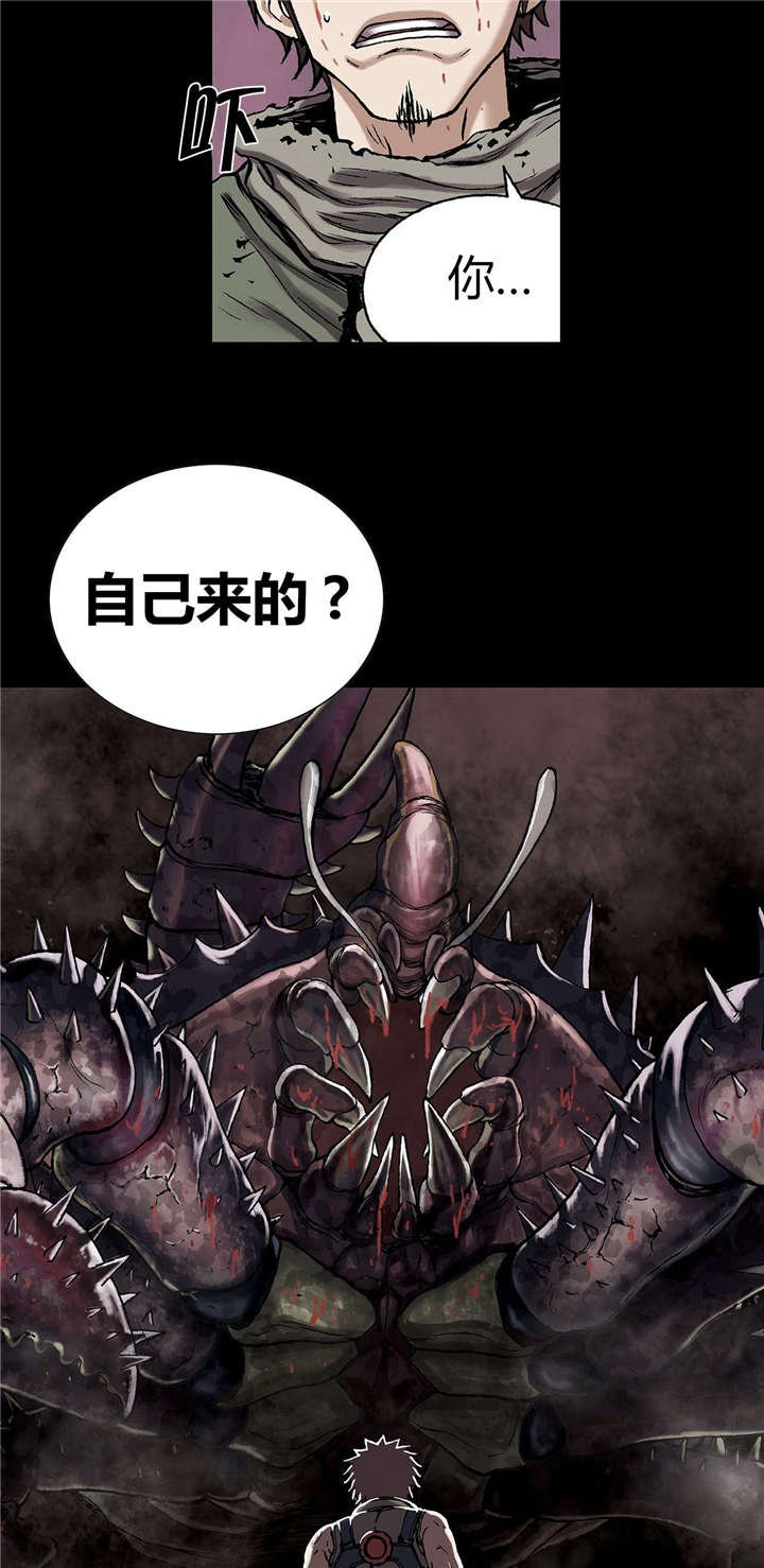 第29章：马泰翁