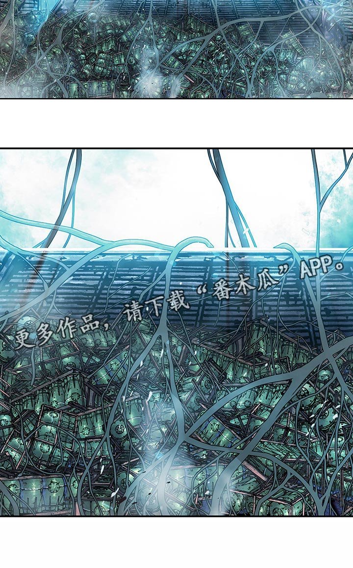 第292章：我要血染大海