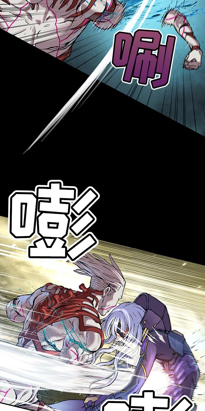 第295章：恶斗