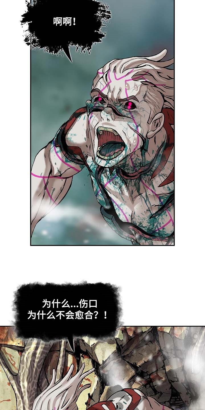 第300章：你在偷看人类