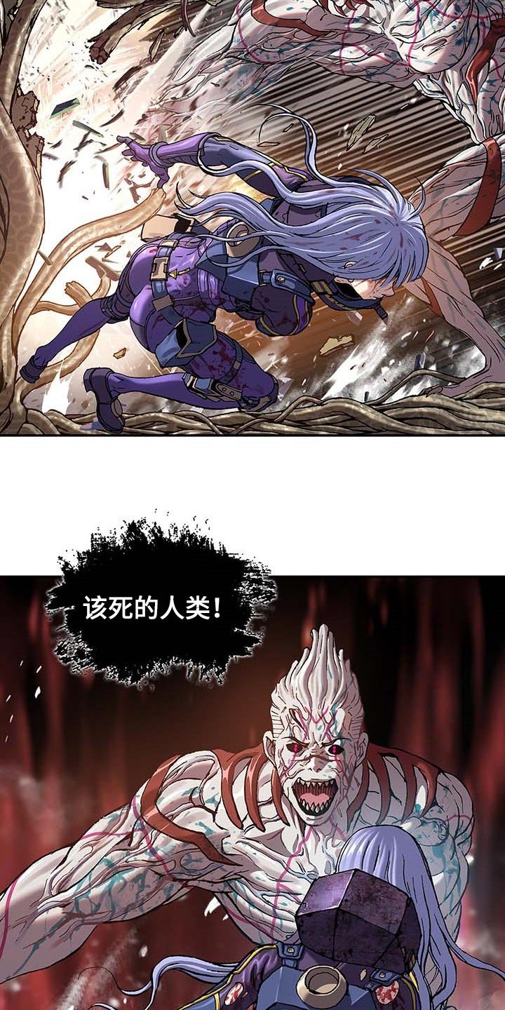 第300章：你在偷看人类
