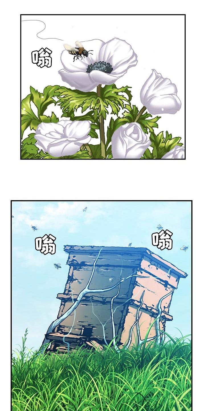 第308章：我会一直等你