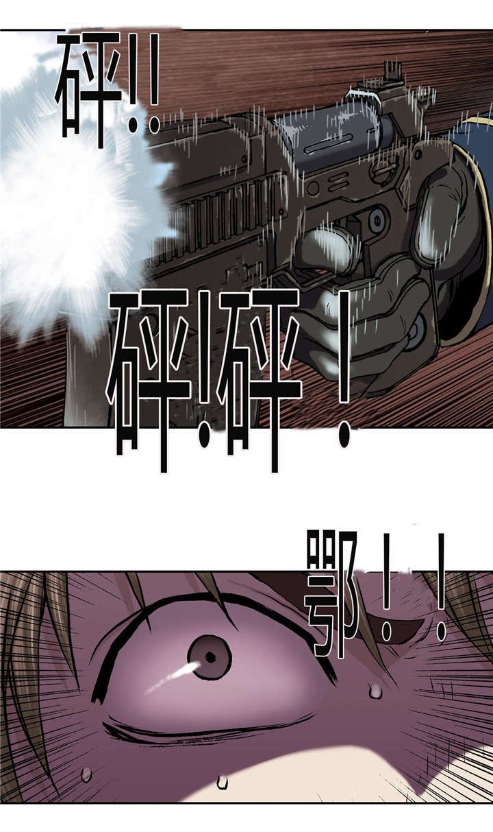 第48章：保护