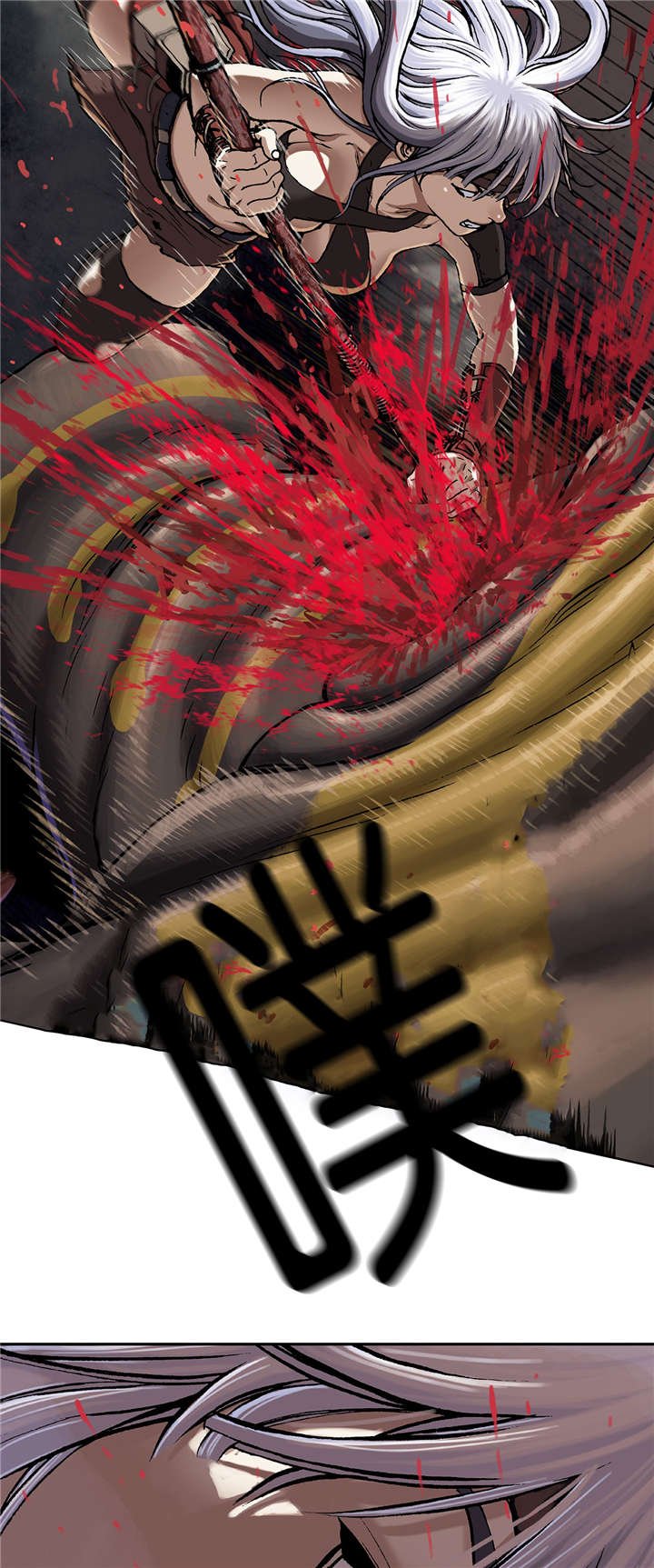第78章：怪物和战斗