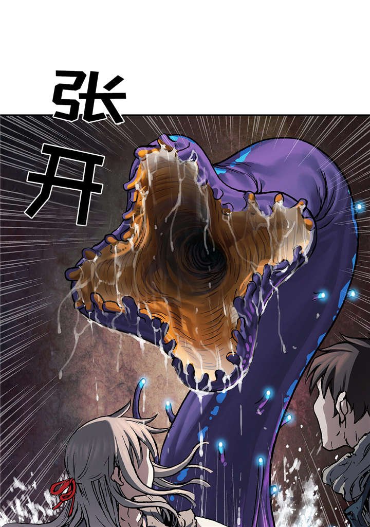 第95章：捕捉